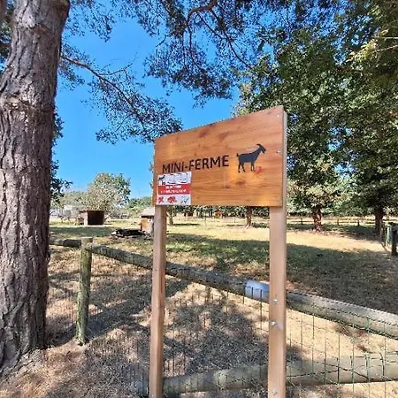 Mobil-home 6 Personnes 3 Campsite La Boissiere-de-Montaigu