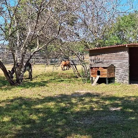 Mobil-home 6 Personnes 3 Campsite